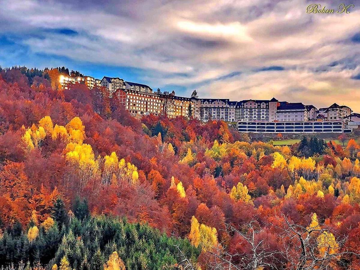Ivkovic Spa Milmari N16 Копаоник Экстерьер фото